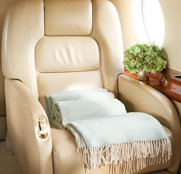 2009 Gulfstream G200 - Photo 10